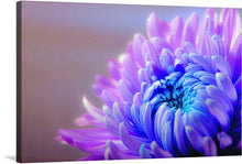  “Bright Purple Flower” is an exquisite art print that captures the intricate details and radiant glow of a blooming flower. Bathed in hues of purple and blue, each petal is meticulously crafted to showcase a dance between color and light.