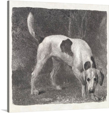  Transform your space into a timeless haven of equestrian elegance with George Stubbs' masterpiece, "A Foxhound on the Scent (1788),". Stubbs, renowned for his mastery in depicting the beauty of animals, immortalizes the essence of the foxhound with unparalleled grace. The print radiates with the intensity of the hunt as the foxhound, rendered with Stubbs' meticulous detail, embarks on a scent-driven pursuit.