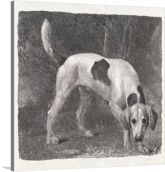 Transform your space into a timeless haven of equestrian elegance with George Stubbs' masterpiece, "A Foxhound on the Scent (1788),". Stubbs, renowned for his mastery in depicting the beauty of animals, immortalizes the essence of the foxhound with unparalleled grace. The print radiates with the intensity of the hunt as the foxhound, rendered with Stubbs' meticulous detail, embarks on a scent-driven pursuit.