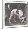 "A Foxhound on the Scent (1788)", George Stubbs