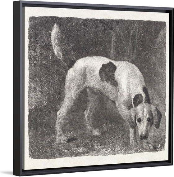 "A Foxhound on the Scent (1788)", George Stubbs