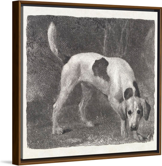 "A Foxhound on the Scent (1788)", George Stubbs