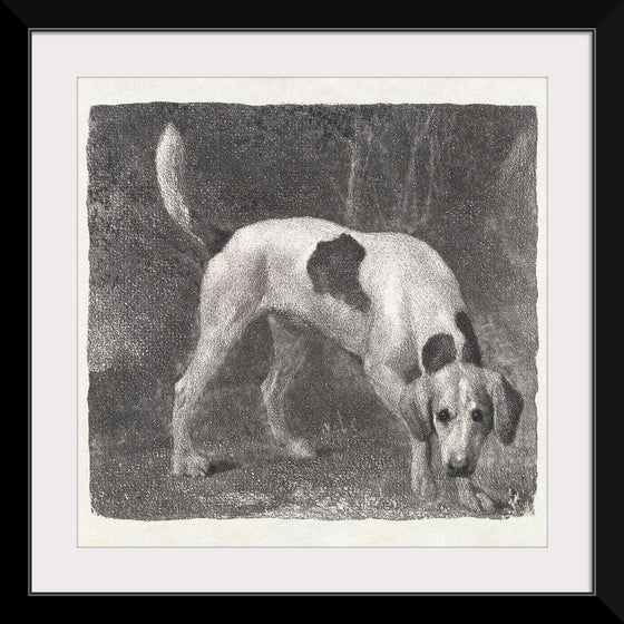 "A Foxhound on the Scent (1788)", George Stubbs