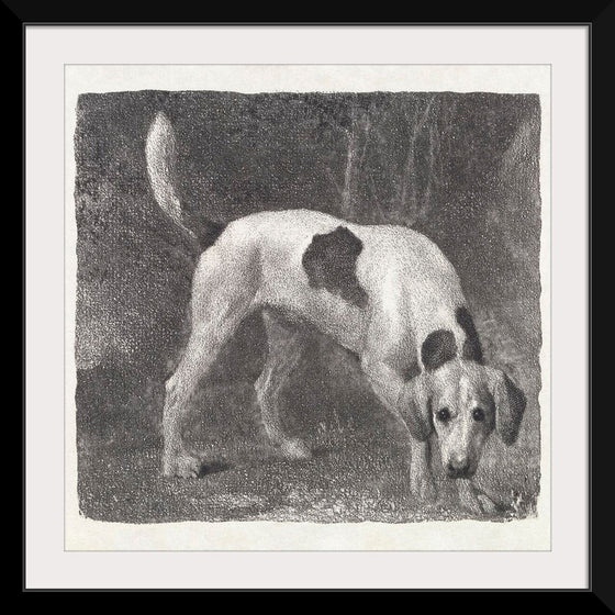 "A Foxhound on the Scent (1788)", George Stubbs