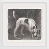 "A Foxhound on the Scent (1788)", George Stubbs