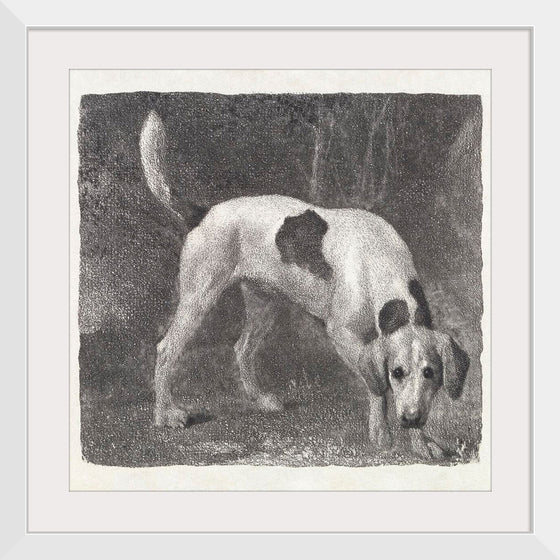 "A Foxhound on the Scent (1788)", George Stubbs