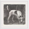 "A Foxhound on the Scent (1788)", George Stubbs