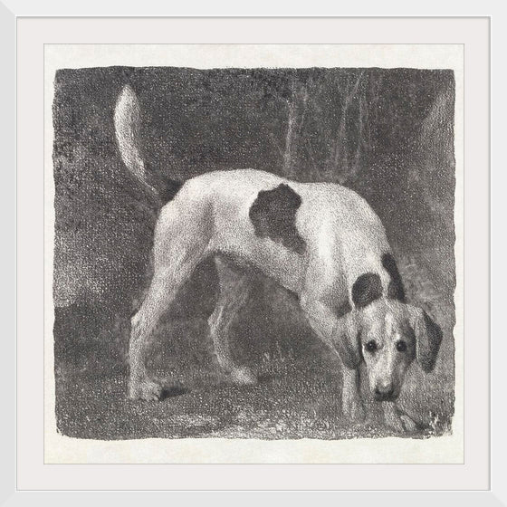 "A Foxhound on the Scent (1788)", George Stubbs