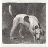 "A Foxhound on the Scent (1788)", George Stubbs