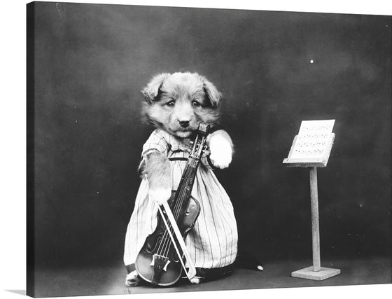 Immerse yourself in the enigmatic allure of this monochromatic artwork, now available as a print. The piece captures a moment frozen in time, featuring a puppy cradling a violin. The dark backdrop accentuates the puppy and the nearby music stand adorned with sheet music, inviting viewers into a silent symphony of visual storytelling.