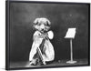 "Puppy Dressed as a Violinist"