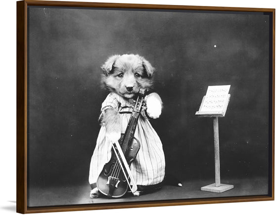 "Puppy Dressed as a Violinist"