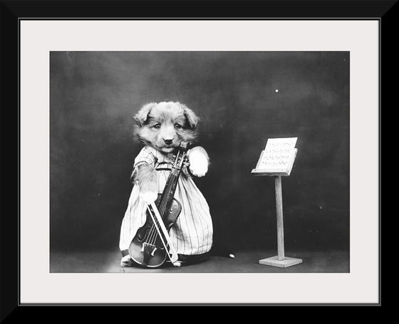 "Puppy Dressed as a Violinist"