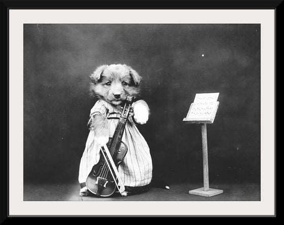 "Puppy Dressed as a Violinist"