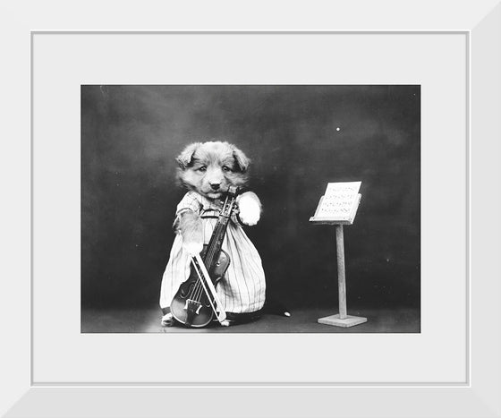 "Puppy Dressed as a Violinist"