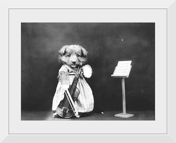 "Puppy Dressed as a Violinist"