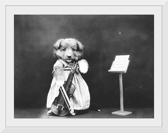 "Puppy Dressed as a Violinist"