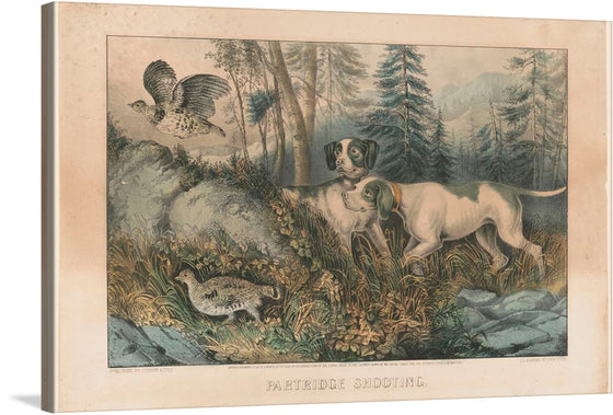 “Partridge Shooting (1870)” by Currier & Ives is a stunning artwork that captures a timeless scene of the great outdoors. The print features two poised dogs forever frozen in a moment of intense focus, their gaze fixed upon the partridges taking flight. The intricate detailing and rich hues breathe life into this artwork, inviting viewers to step into a world where nature’s untamed beauty reigns supreme. 