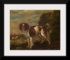 "A Spaniel (1653)", Paulus Potter