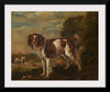 "A Spaniel (1653)", Paulus Potter