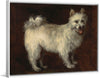 "Spitz Dog (1765)", Thomas Gainsborough