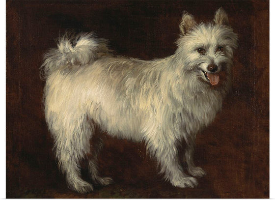 "Spitz Dog (1765)", Thomas Gainsborough