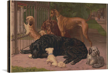  “Dogs at the Gate” is a captivating print by Otto Bache that beautifully captures the anticipation of man’s best friend. The artwork features a diverse group of dogs, including a black Newfoundland, a white poodle, a brown Irish setter, a golden retriever, and a greyhound, all eagerly gathered at an ornate black gate.