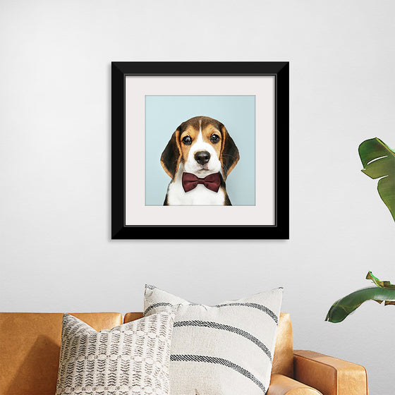 "Cute Beagle in a Dark Brown Bow Tie"