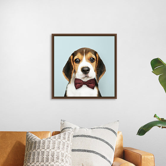 "Cute Beagle in a Dark Brown Bow Tie"