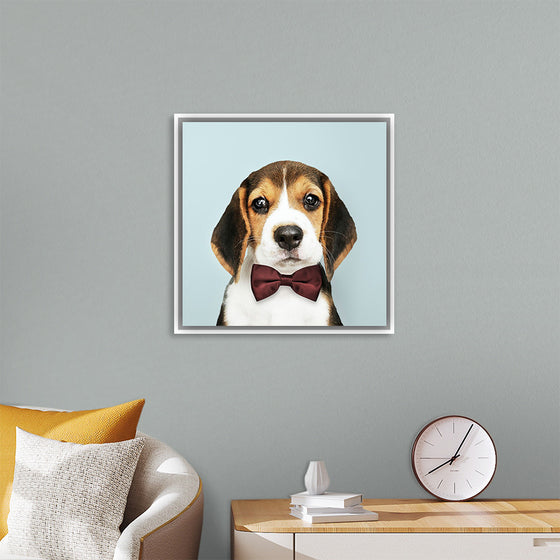 "Cute Beagle in a Dark Brown Bow Tie"