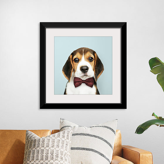 "Cute Beagle in a Dark Brown Bow Tie"