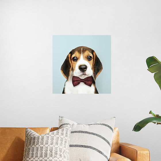 "Cute Beagle in a Dark Brown Bow Tie"