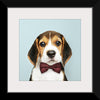 "Cute Beagle in a Dark Brown Bow Tie"