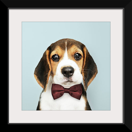 "Cute Beagle in a Dark Brown Bow Tie"