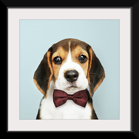 "Cute Beagle in a Dark Brown Bow Tie"