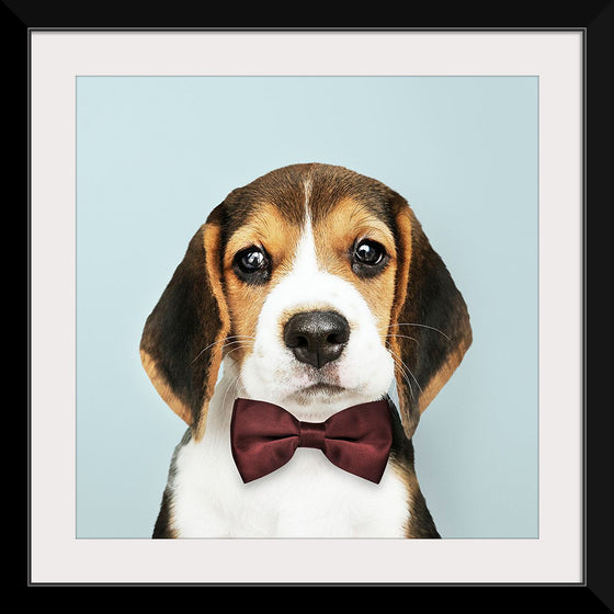 "Cute Beagle in a Dark Brown Bow Tie"