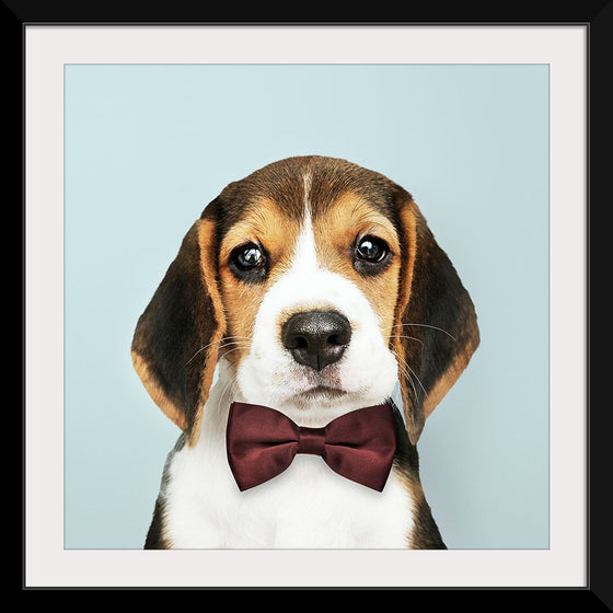 "Cute Beagle in a Dark Brown Bow Tie"