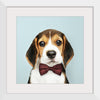 "Cute Beagle in a Dark Brown Bow Tie"