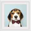 "Cute Beagle in a Dark Brown Bow Tie"