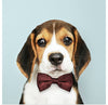 "Cute Beagle in a Dark Brown Bow Tie"