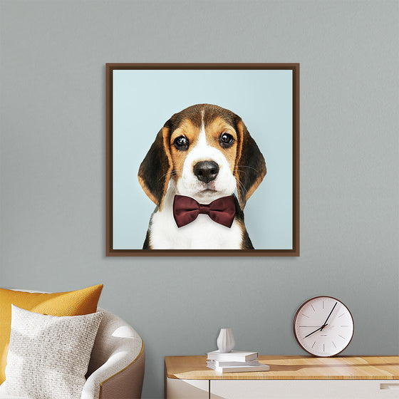 "Cute Beagle in a Dark Brown Bow Tie"