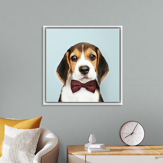 "Cute Beagle in a Dark Brown Bow Tie"