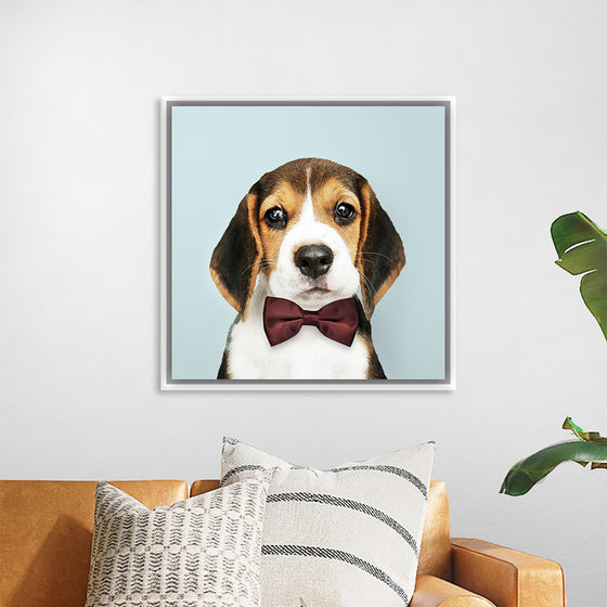 "Cute Beagle in a Dark Brown Bow Tie"