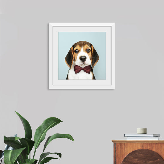 "Cute Beagle in a Dark Brown Bow Tie"