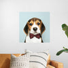 "Cute Beagle in a Dark Brown Bow Tie"