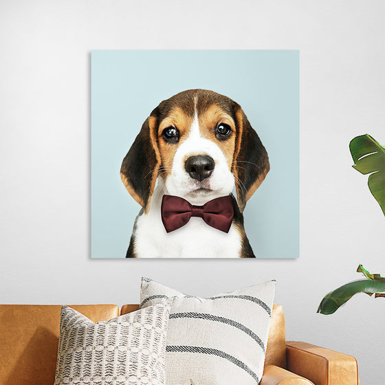 "Cute Beagle in a Dark Brown Bow Tie"