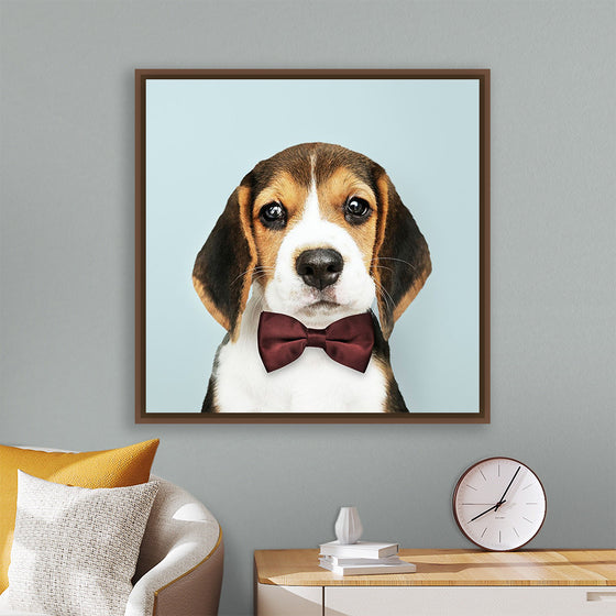 "Cute Beagle in a Dark Brown Bow Tie"