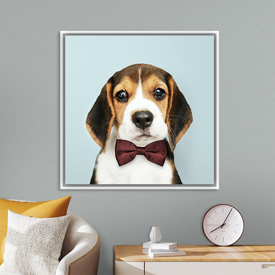 "Cute Beagle in a Dark Brown Bow Tie"