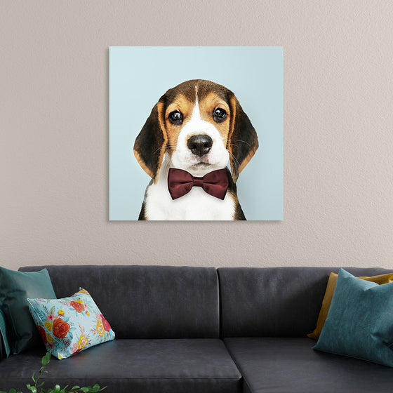 "Cute Beagle in a Dark Brown Bow Tie"