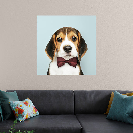 "Cute Beagle in a Dark Brown Bow Tie"